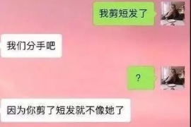 阳西企业清欠服务